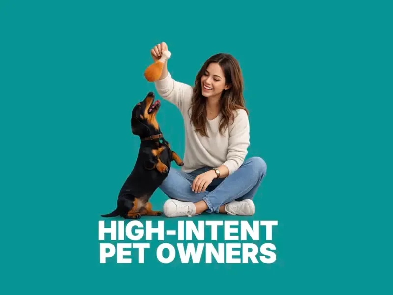 Pet care journey map